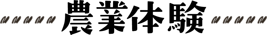 農業体験